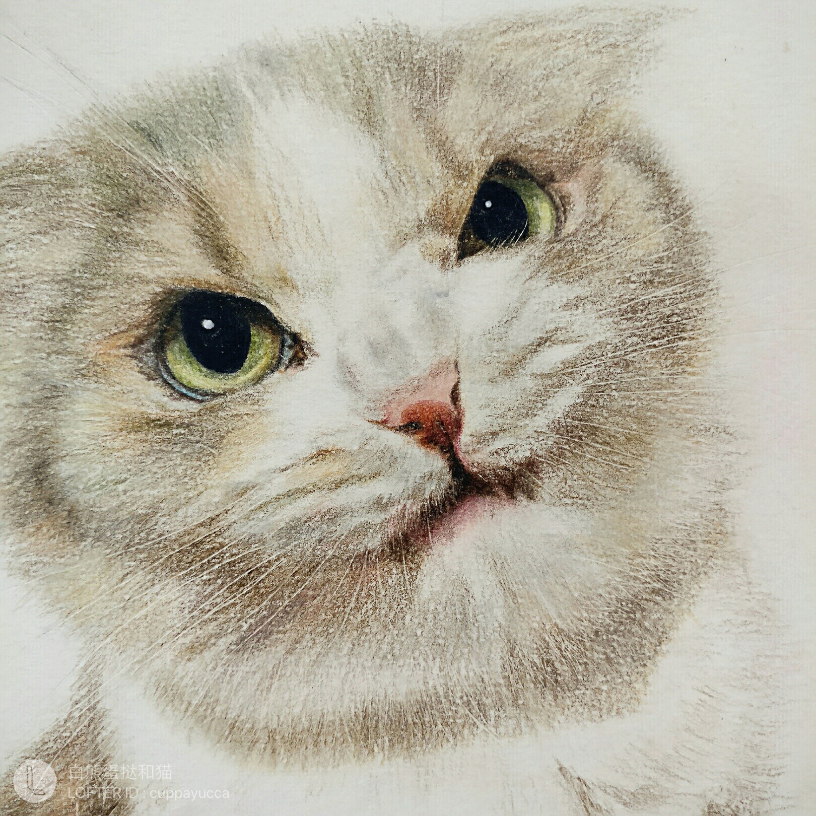 Paint of a Cat